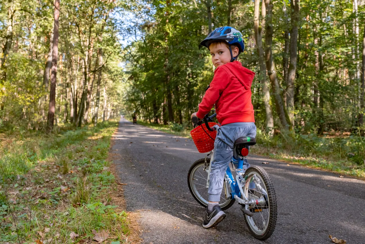 Chłopiec w kasku na rowerze przemierza malownicze trasy rowerowe Puszczy Niepołomickiej.