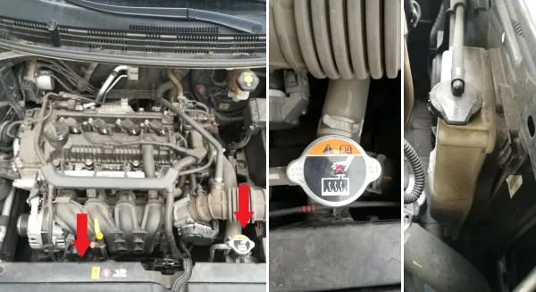 Zdjęcie Jak dbać o płyny w Kia Rio? Poradnik dla każdego kierowcy