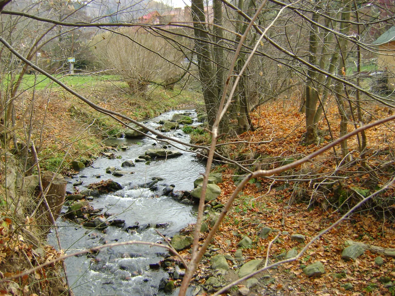 Rzeka g&oacute;rska w Polsce