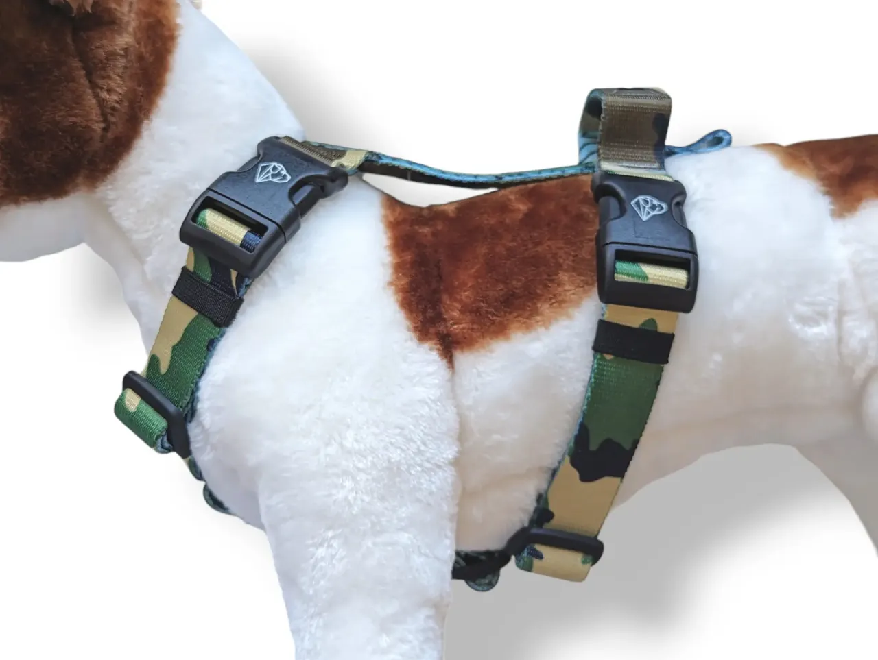 szelki guard dla psa vs obroża