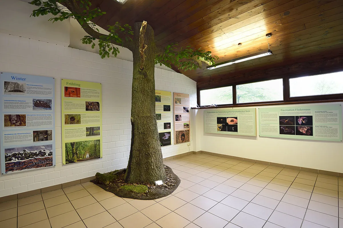 Infozentrum Krickenbecker Seen Ausstellung