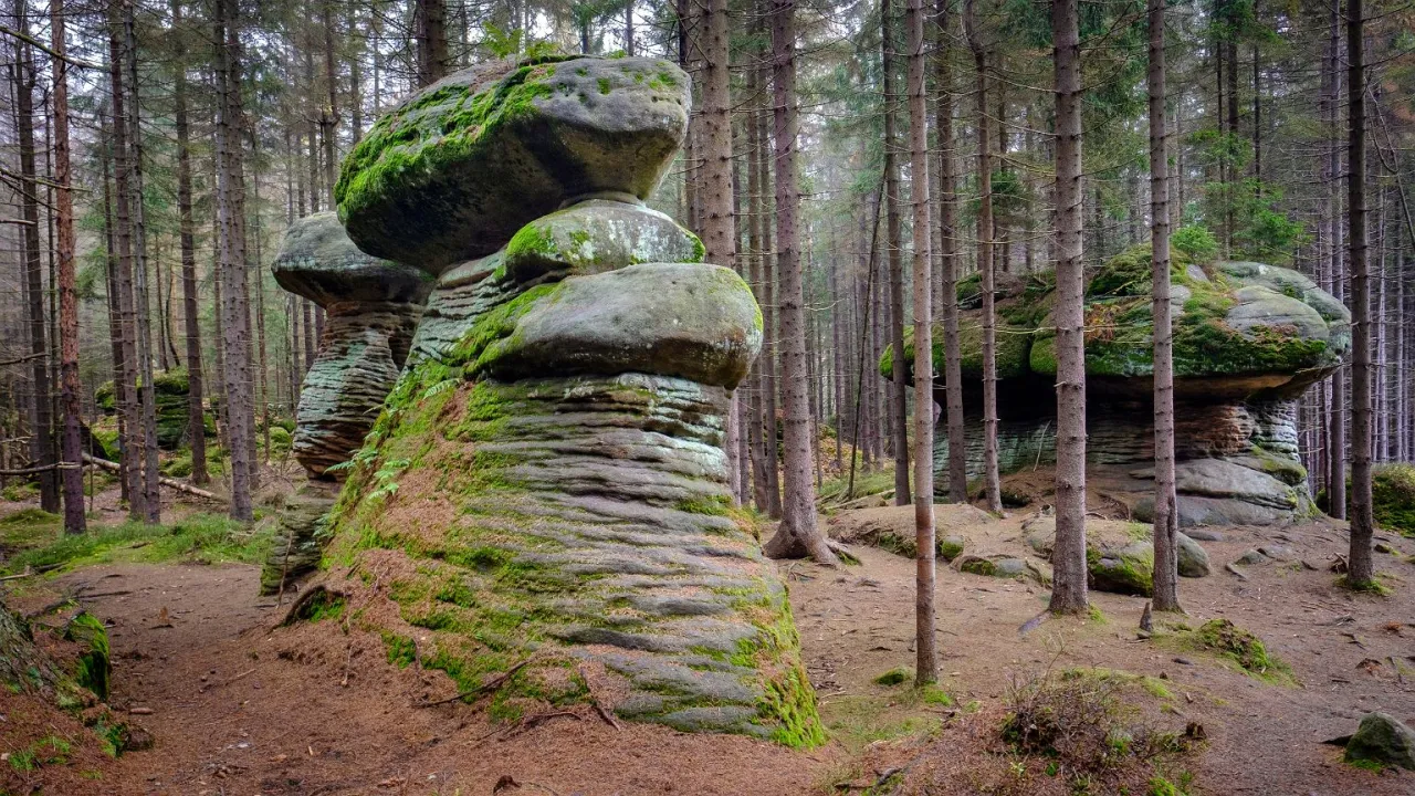 Skalne Grzyby G&oacute;ry Stołowe