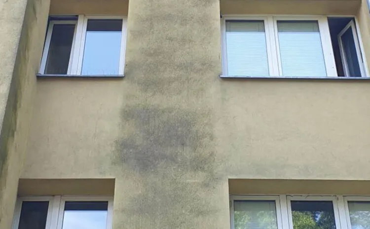 rodzaje zabrudzeń elewacji kurz glony pleśń