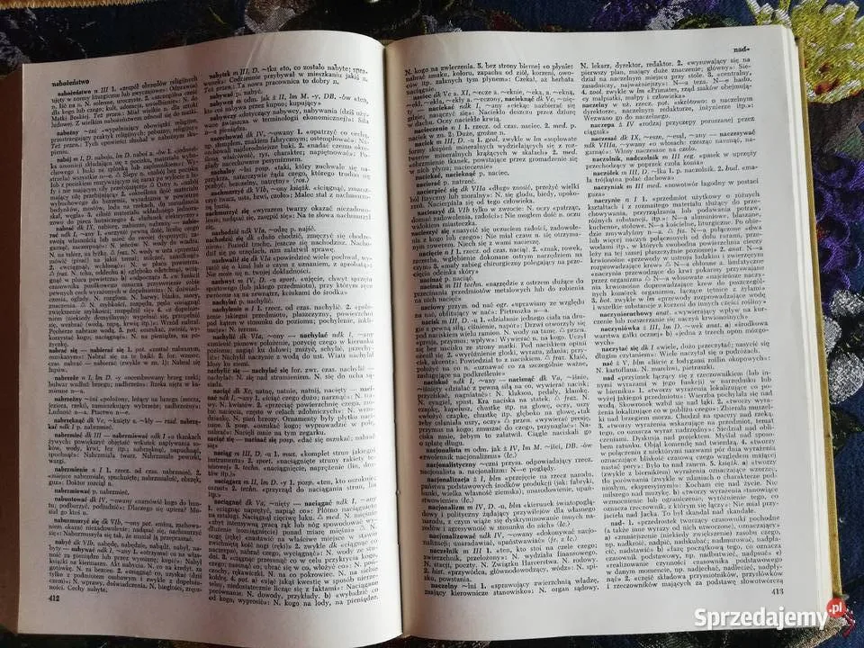 otwarta książka słownik języka polskiego