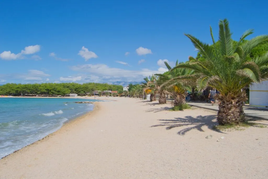 piękna plaża na wyspie Vir Chorwacja