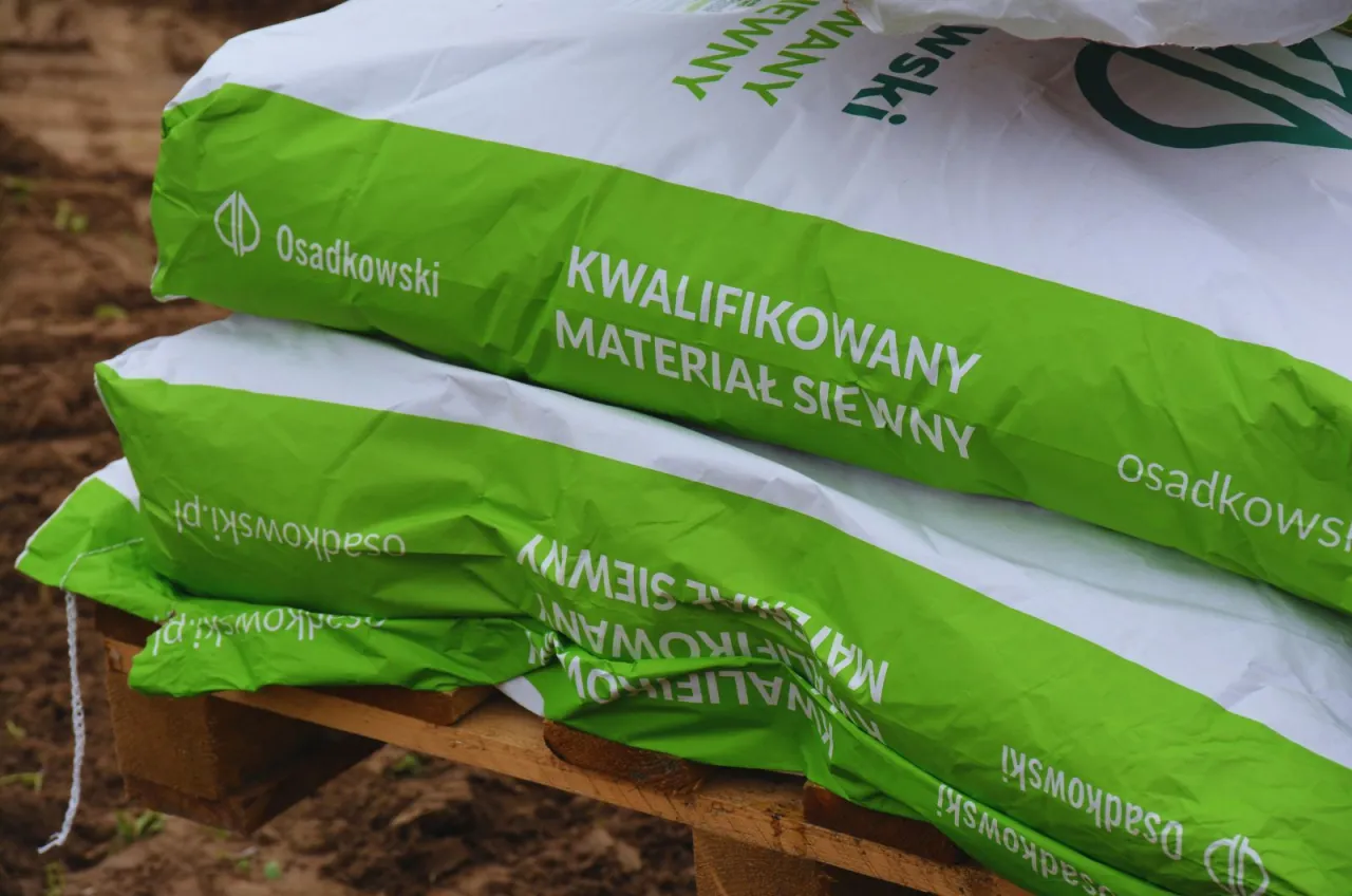 Dwie zielono-białe torby z napisem 