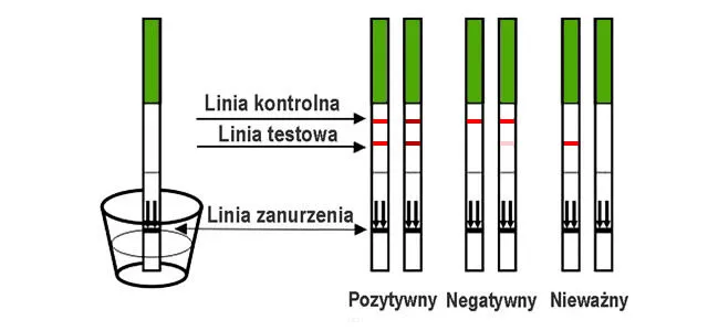 testy owulacyjne, jak wyglądają testy owulacyjne