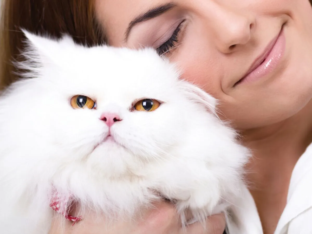 spokojna kotka bawiąca się