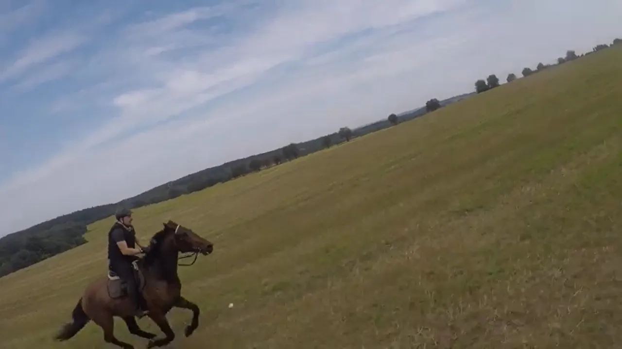 Jeździec zatrzymujący konia