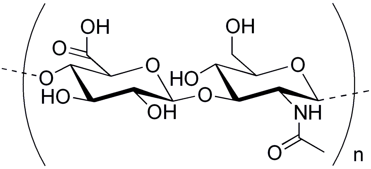 kwas hialuronowy budowa chemiczna i wiązanie wody