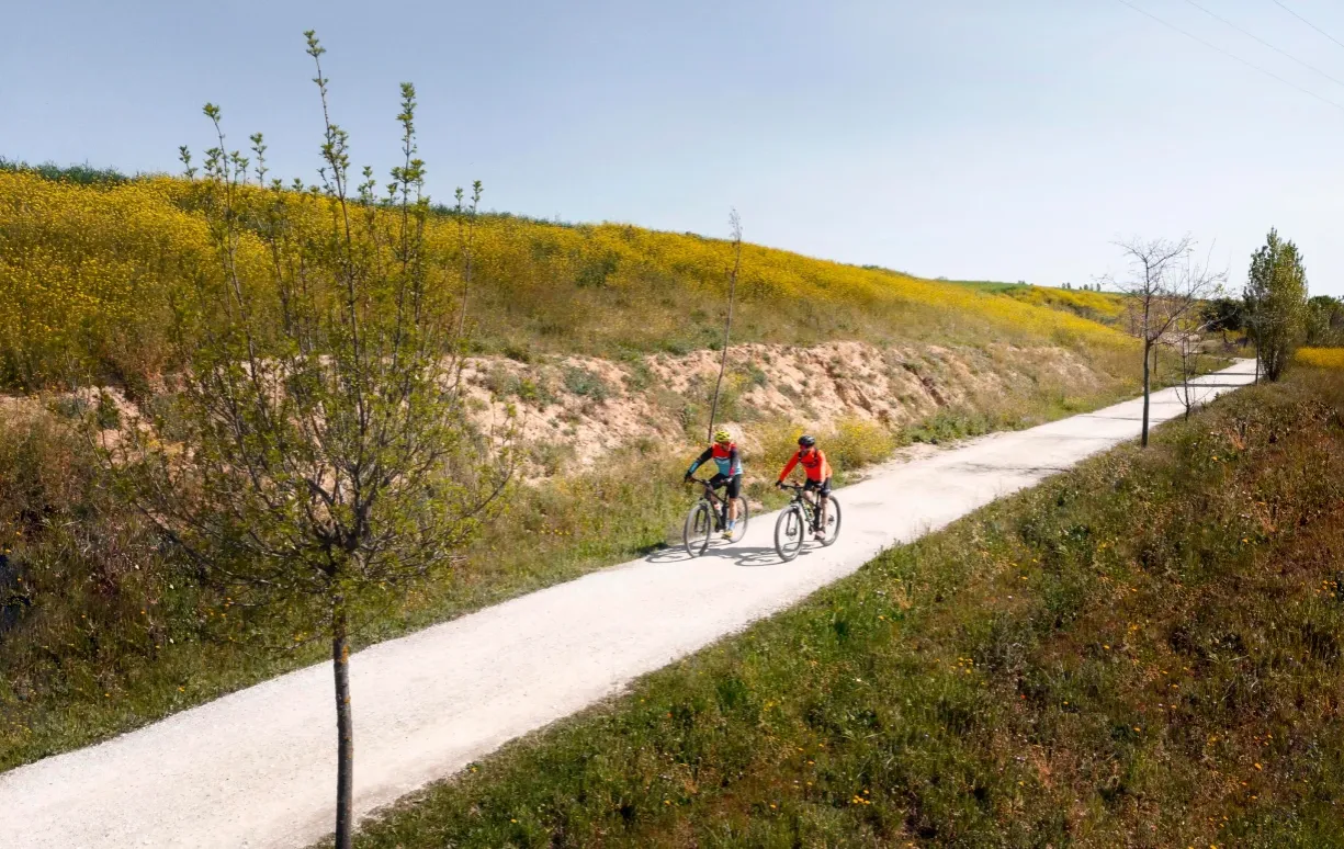 Zdjęcie Najdłuższa trasa rowerowa w Polsce: Wschodni Szlak Green Velo i jego atrakcje