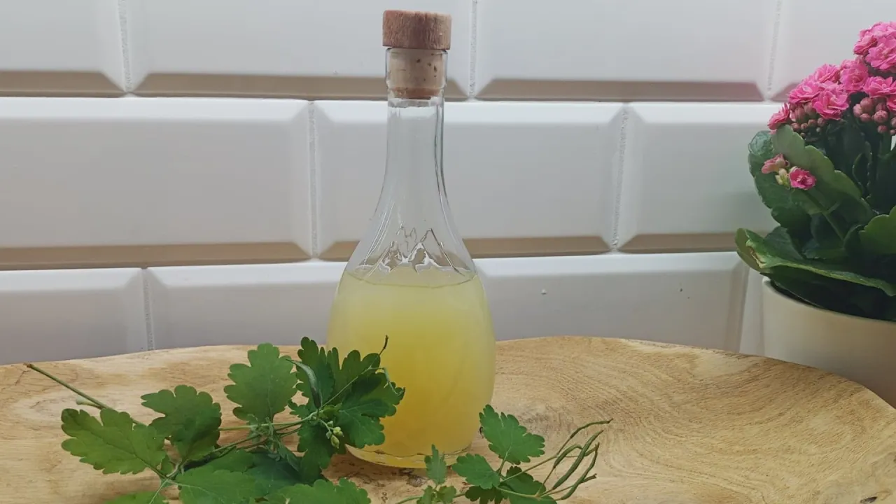 Zdjęcie Balsam Bołotowa na co pomaga - odkryj jego niezwykłe właściwości zdrowotne
