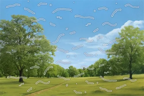 Zdjęcie Wichtige Symptome einer Netzhautablösung, die Sie kennen sollten