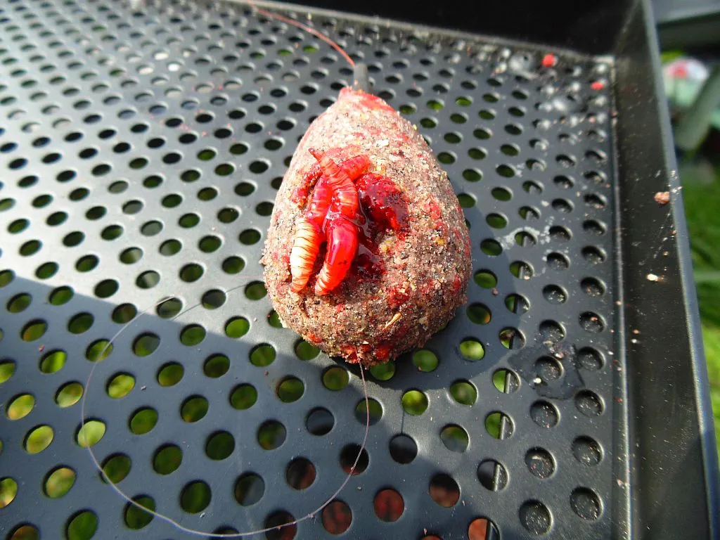 Zdjęcie Najlepsza zanęta halibut: jak skutecznie łowić ryby karpiowate