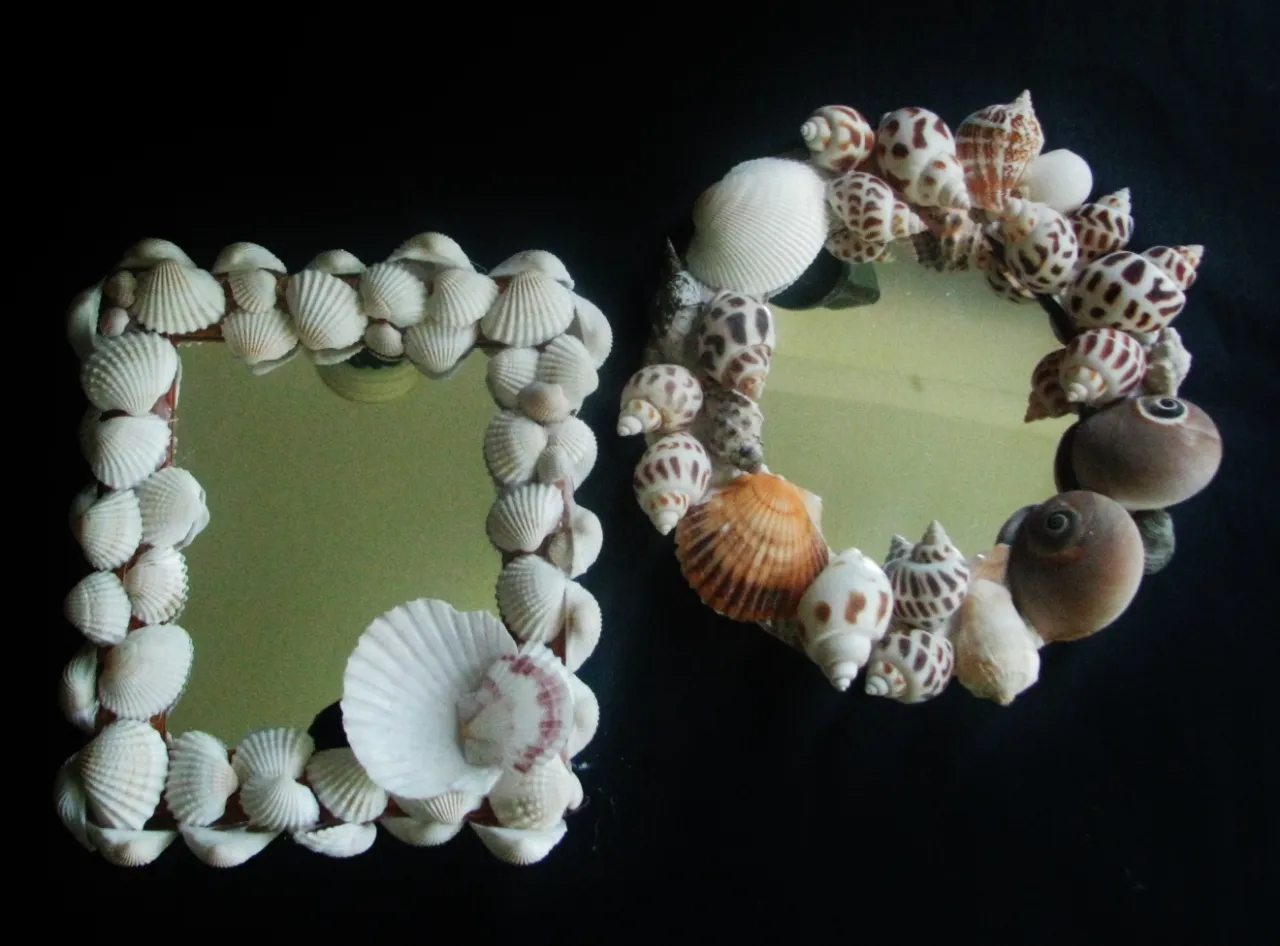 Zdjęcie Zdjęcia muszelek: Jak ożywić wakacyjne wspomnienia? DIY i prezenty