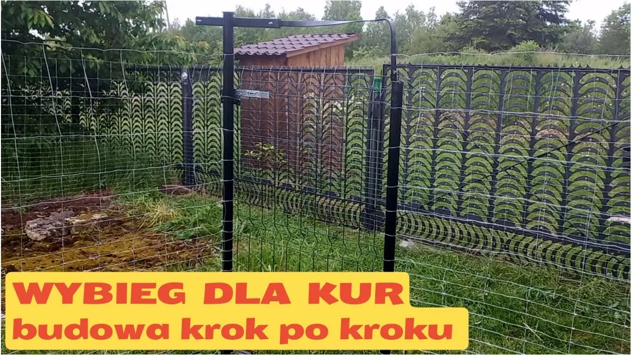 Zdjęcie Jak zrobić ogrodzenie dla kur, aby chronić je przed drapieżnikami