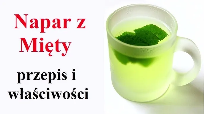 Zdjęcie Jak zrobić napar z mięty - prosty przepis, który zachwyca smakiem