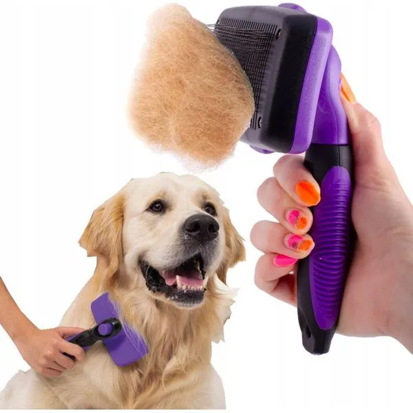 Zdjęcie Jaką szczotkę dla golden retrievera wybrać, aby uniknąć matowienia?