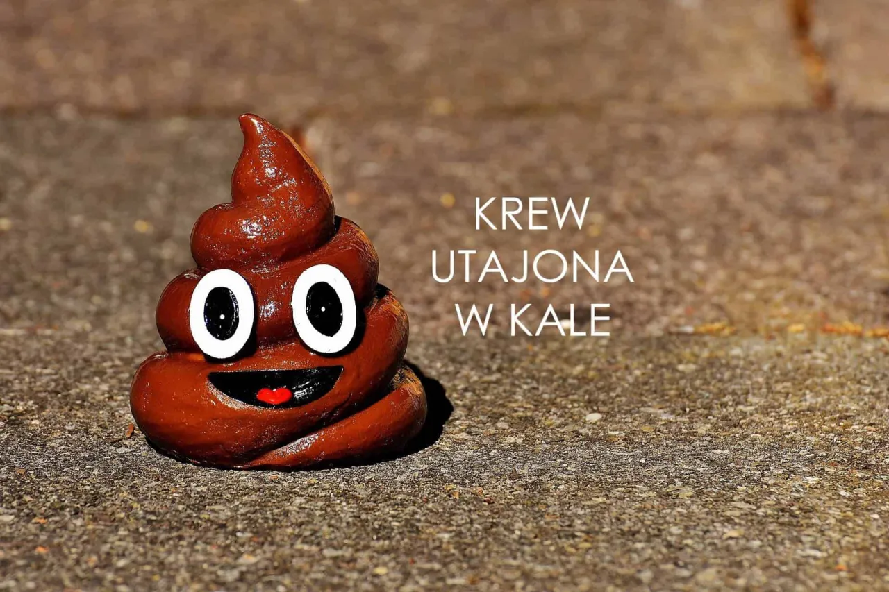 Zdjęcie Krew utajona w kale – jakie są znaczenia wyników testów?