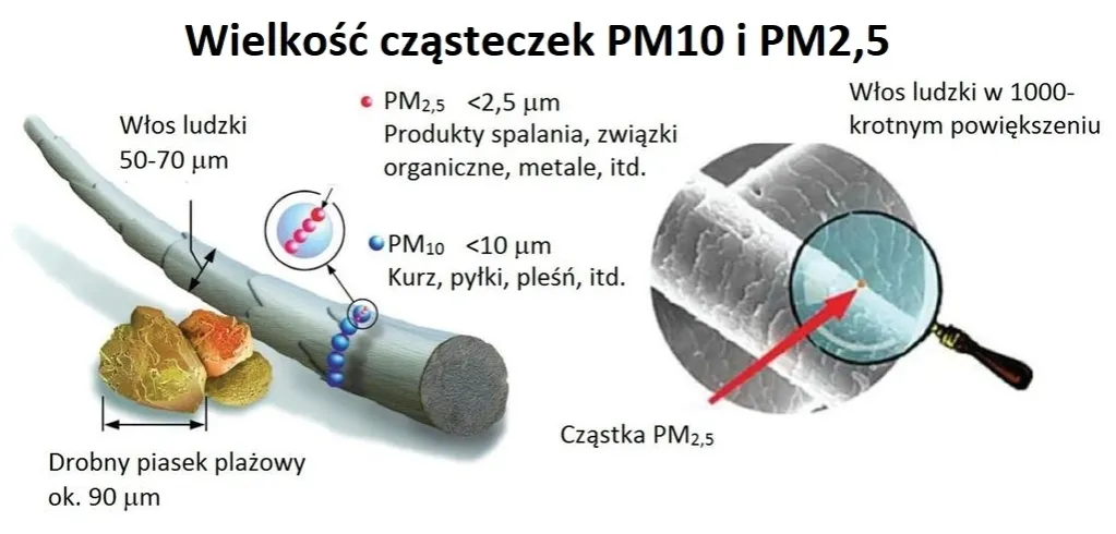 cząsteczki smogu PM2.5 PM10 schemat