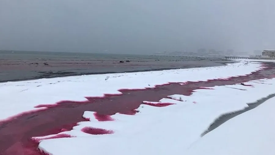 Zanieczyszczenie Morza Kaspijskiego