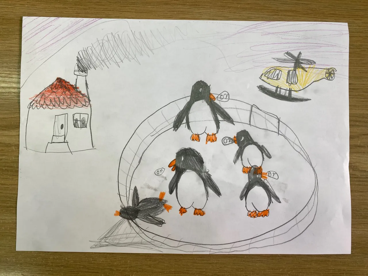 Zaczarowana zagroda ilustracja pingwiny