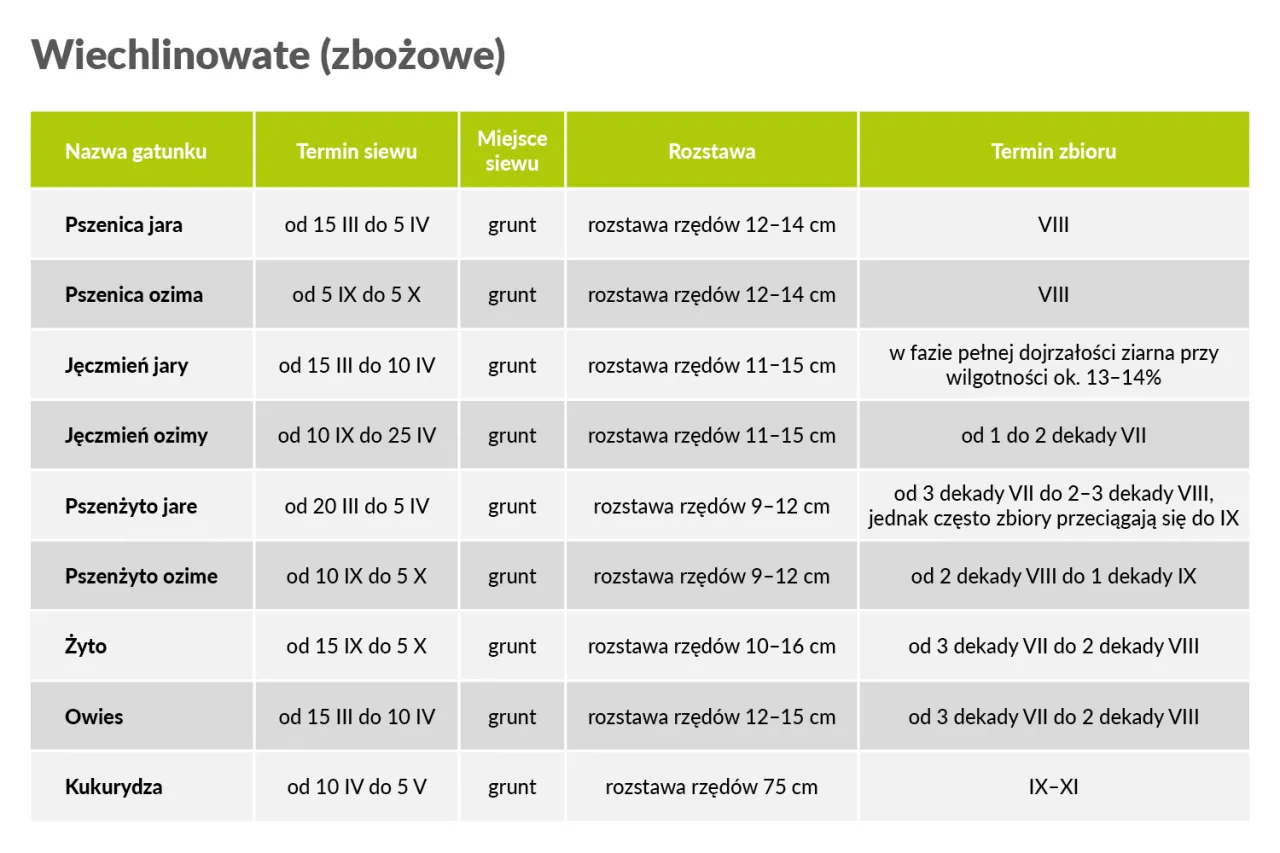 Kalendarz siewu poplonów w Polsce