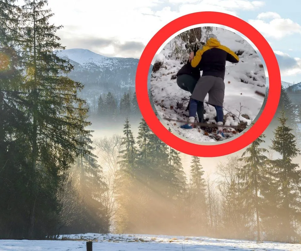 szlak w Tatrach w maju zalegający śnieg