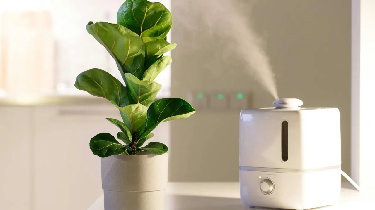 Roślina w doniczce obok nawilżacza powietrza, który tworzy mgiełkę. To jeden z domowych sposobów, jak nawilżyć powietrze.
