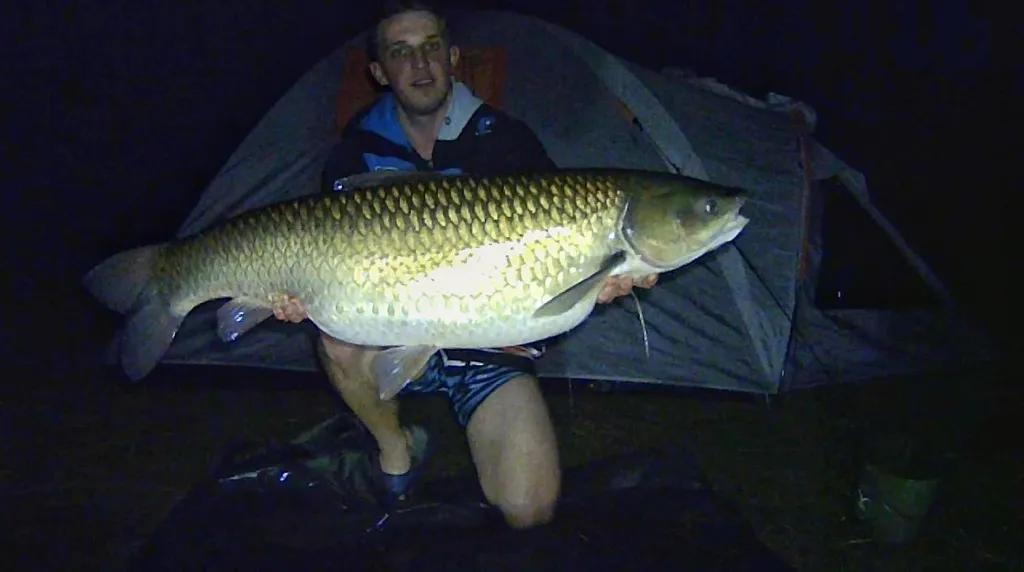 Zdjęcie Dobre żyłki karpiowe forum: jakie linie naprawdę się sprawdzają?