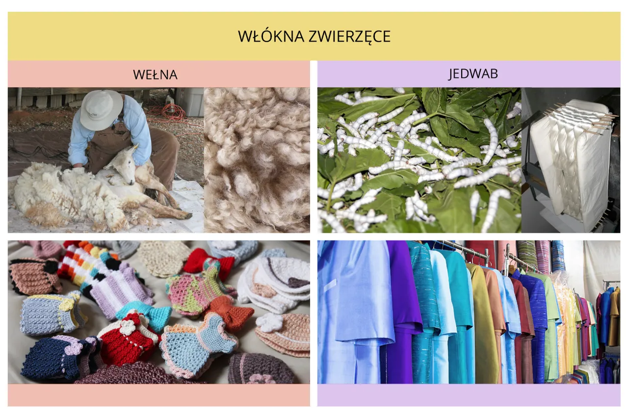 Jedwabne kokony i jedwabne tkaniny. Wł&oacute;kna zwierzęce, w tym wełna i jedwab, są podstawą wielu pięknych wyrob&oacute;w.