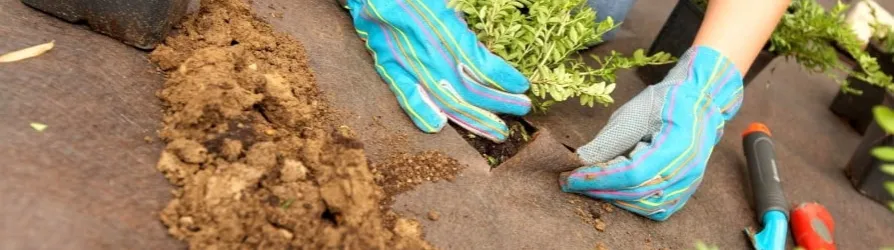 zapobieganie chwastom ści&oacute;łkowanie agrowł&oacute;knina