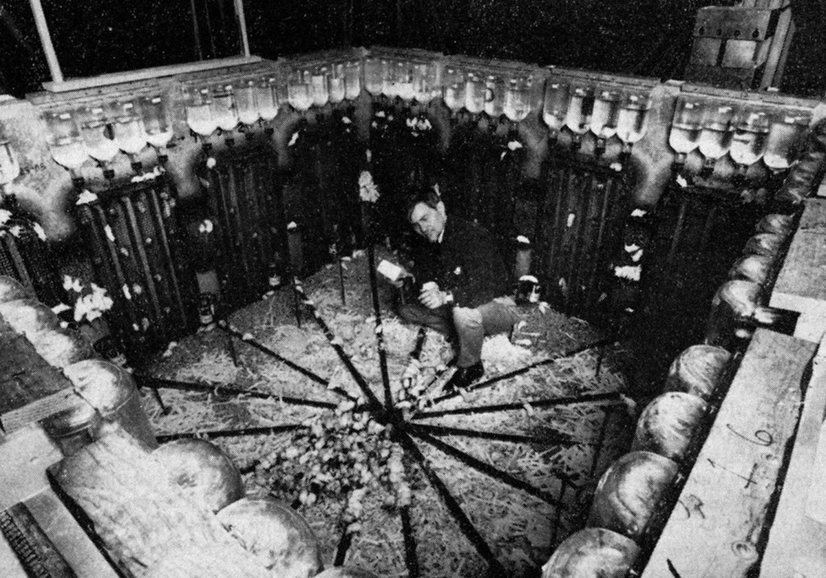 John B Calhoun Universe 25 eksperyment schemat