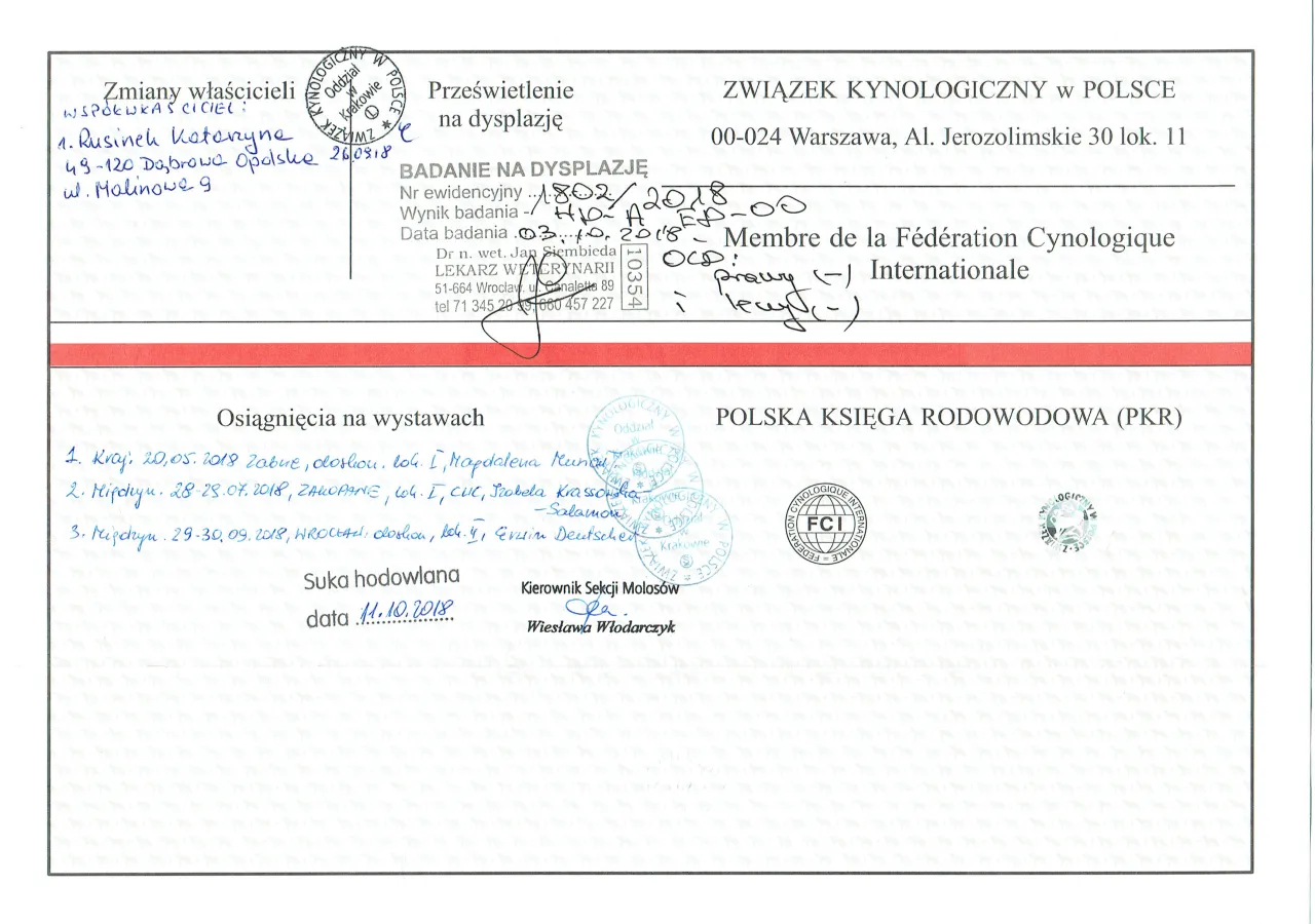 Metryka a rodowód psa rasowego ZKwP