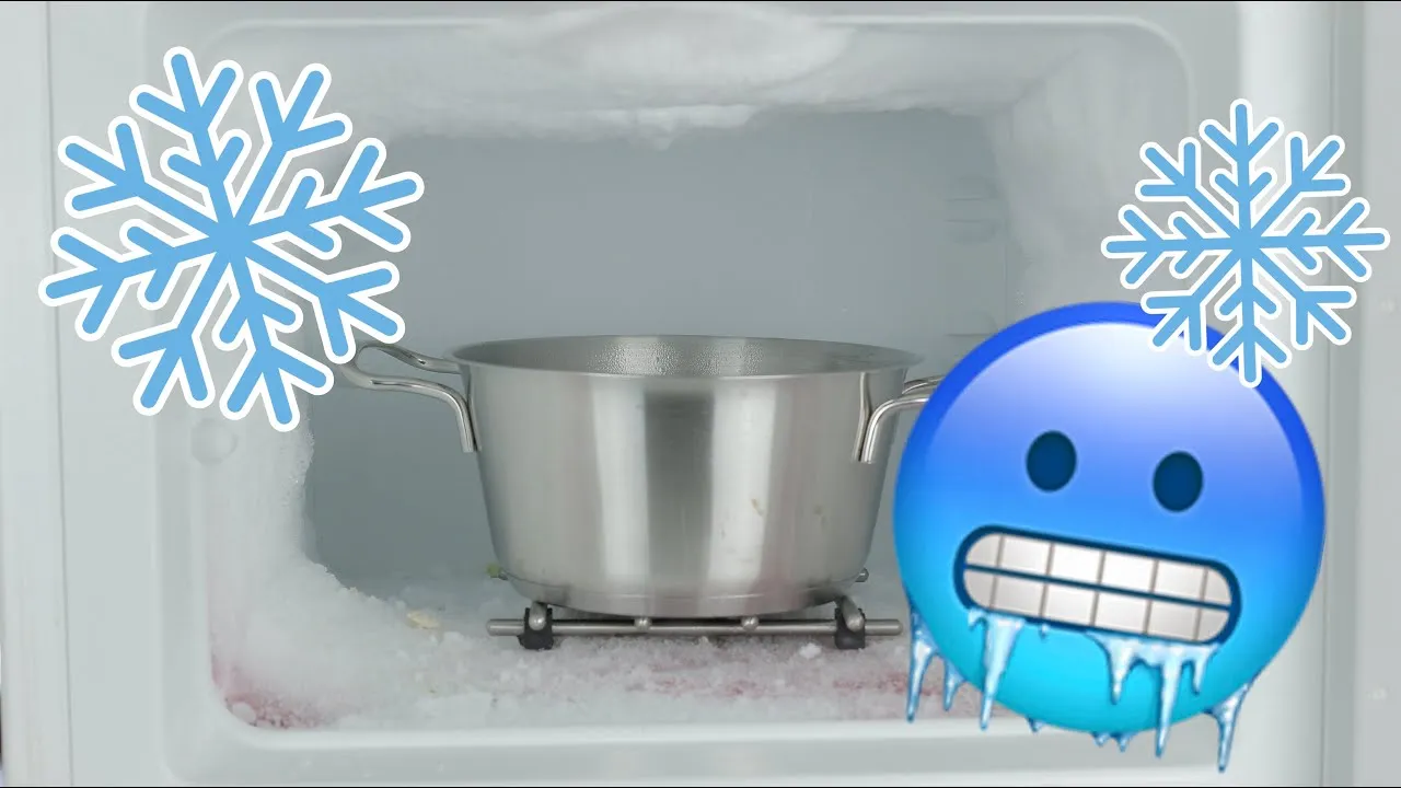 rozmrażanie strogonowa w lod&oacute;wce