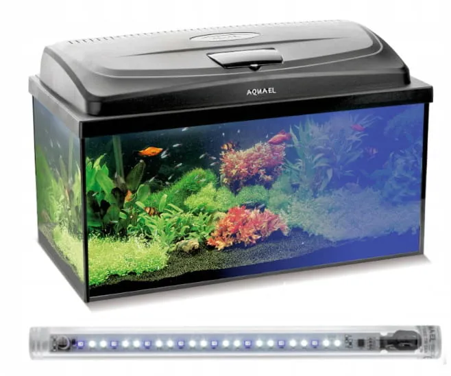 akwarium z oświetleniem LED i pokrywą