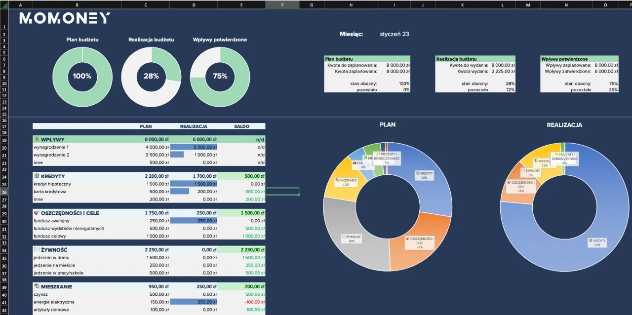 osoba analizująca finanse, wykresy, budżet domowy