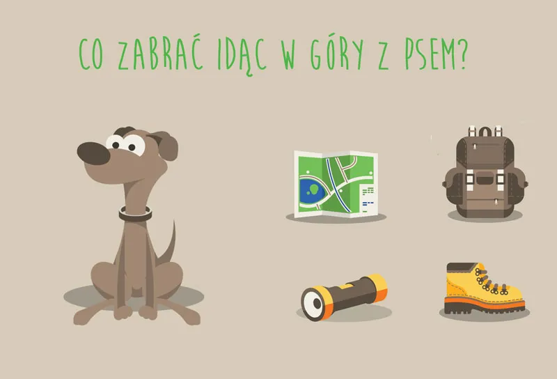 ekwipunek dla psa w góry