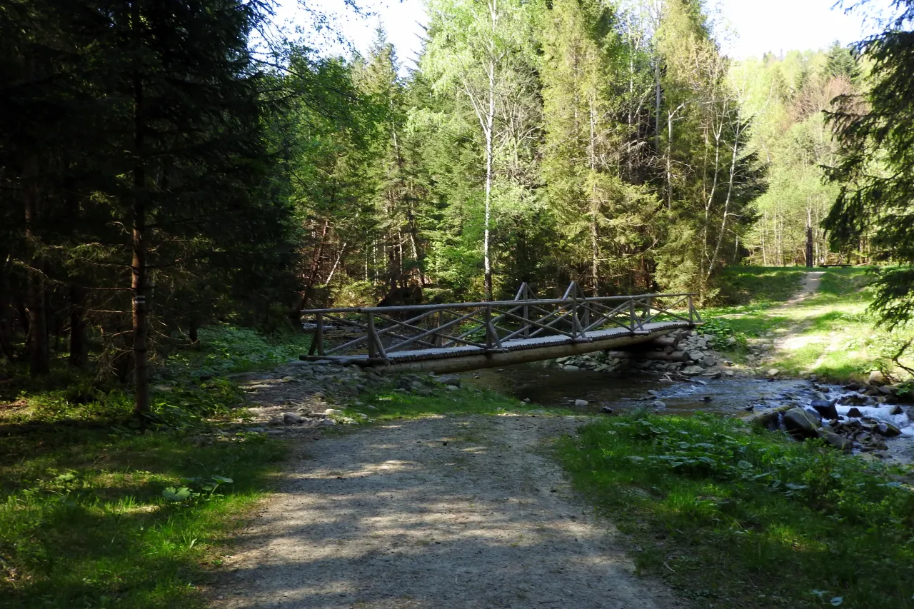 Babia G&oacute;ra Diablak szlak