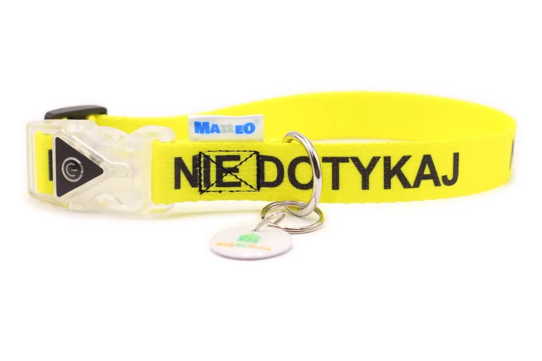 szew kopertowy w obroży dla psa mocne szycie