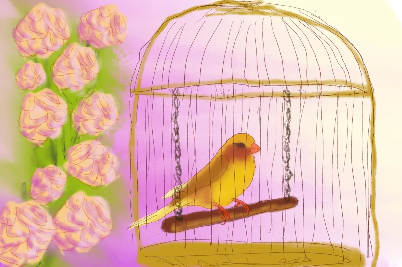szczęśliwy kanarek w klatce