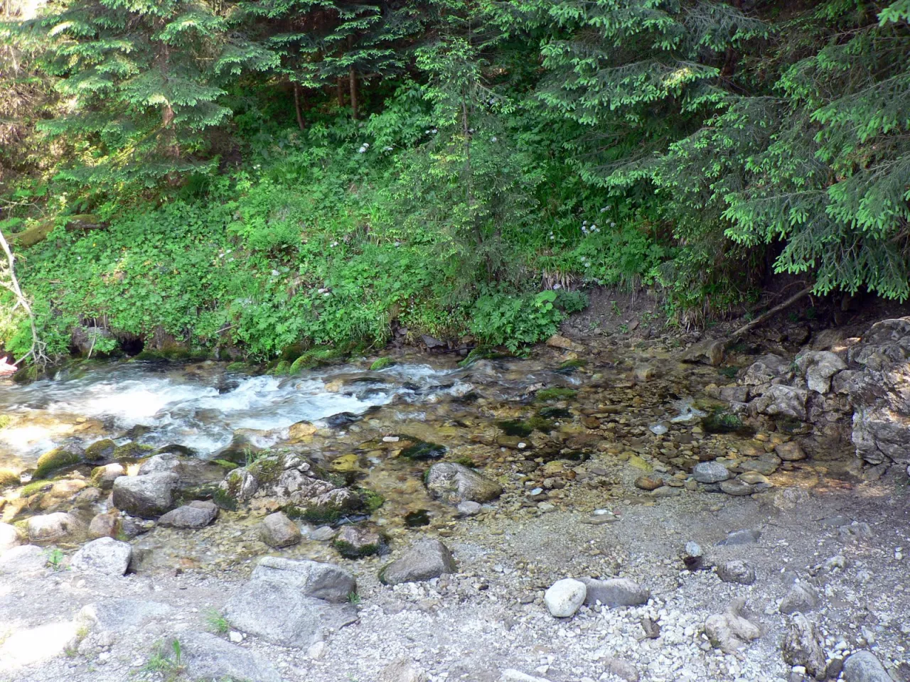 Wywierzysko Olczyskie Tatry