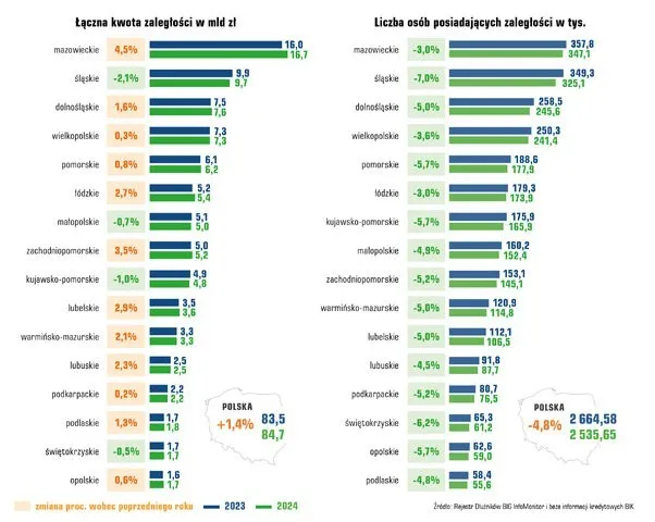 różne bazy danych dłużników w Polsce