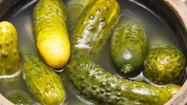 Nieudane kiszenie og&oacute;rk&oacute;w pleśń miękkie og&oacute;rki