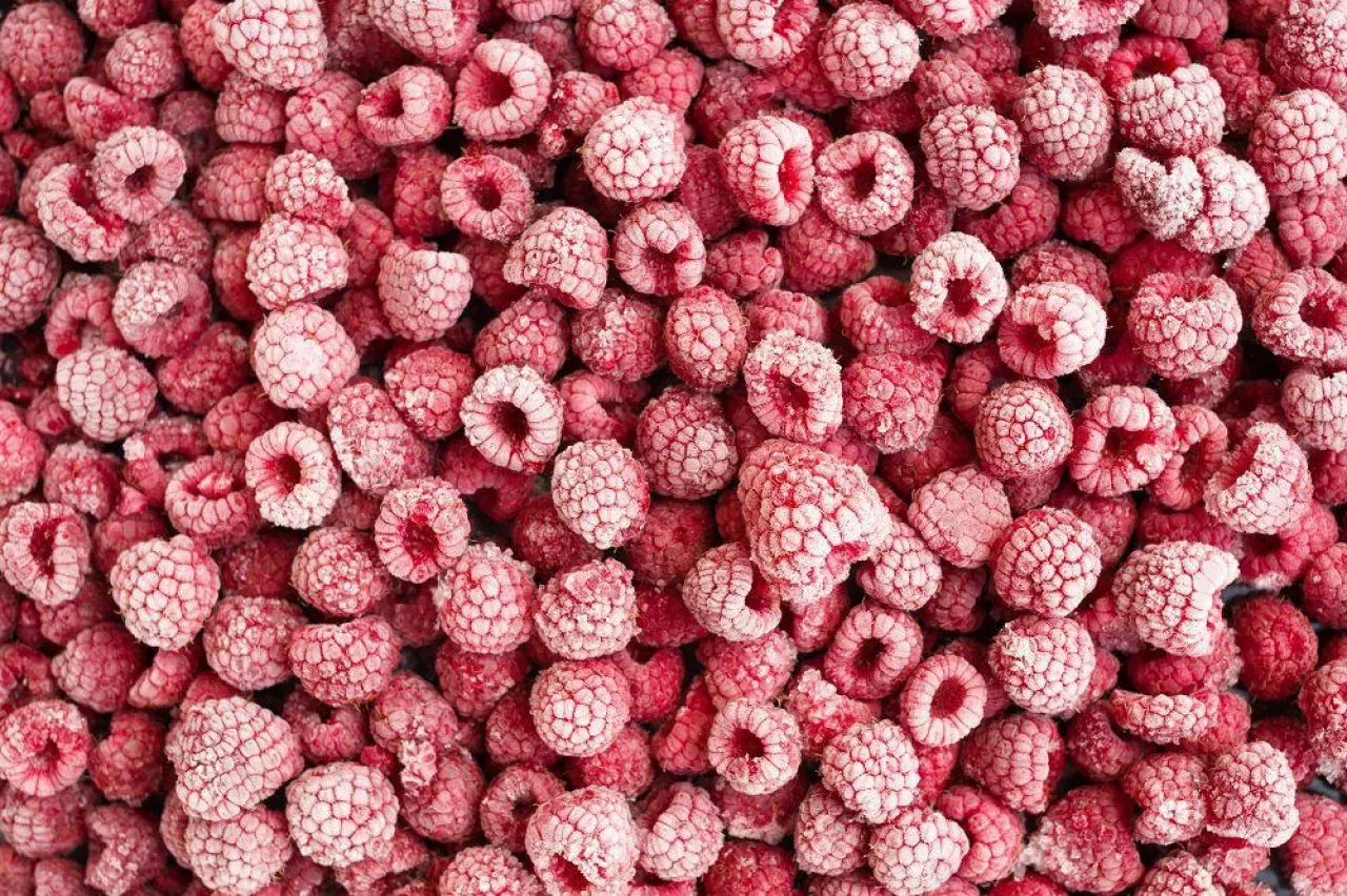 różne rodzaje malin świeże mrożone
