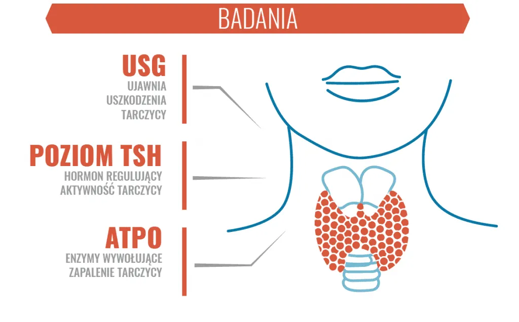 badania krwi tarczyca, diagnostyka Hashimoto