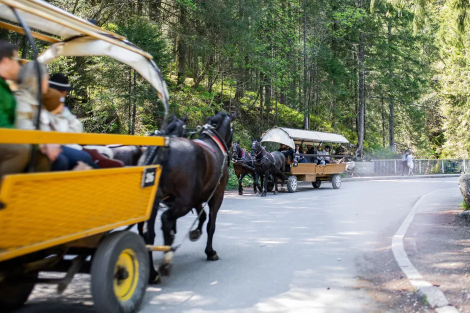 Transport konny i e-busy na szlaku do Morskiego Oka