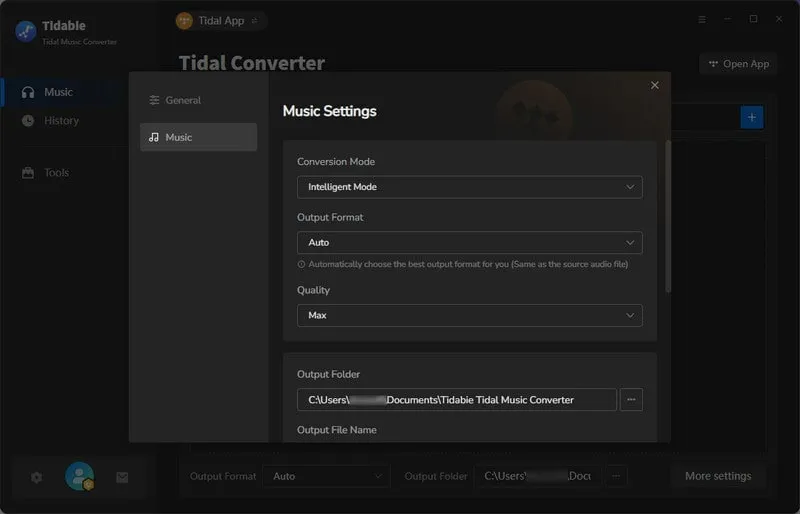 Tidal Music Converter interfejs