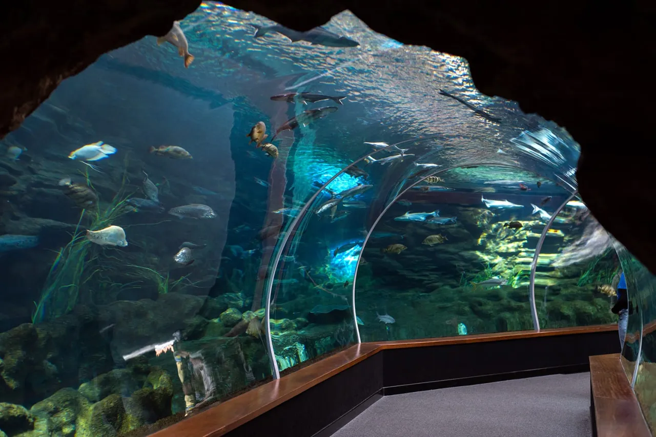 Poema del Mar dojazd i bilety