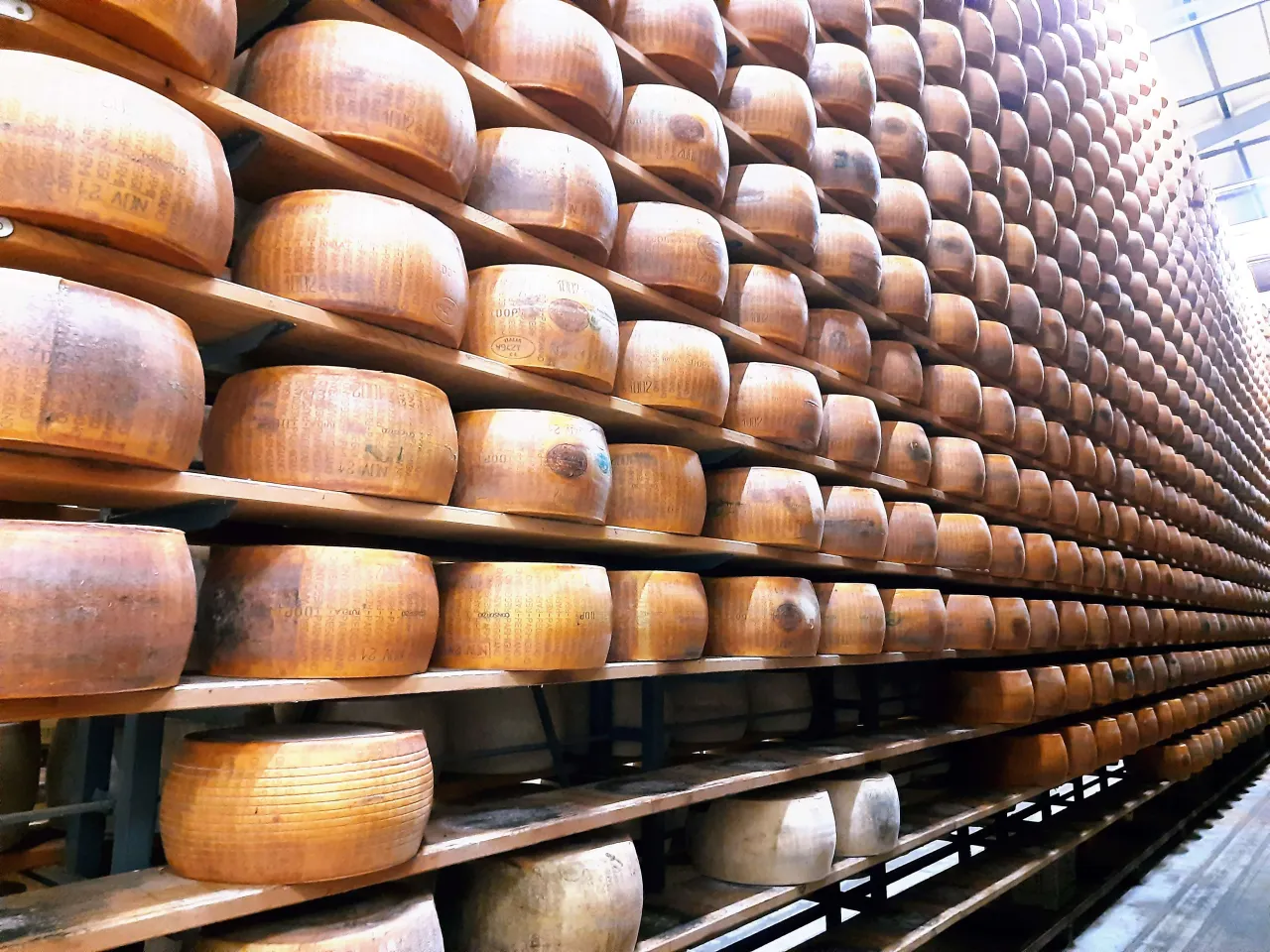 Magazyn dojrzewania Parmigiano Reggiano